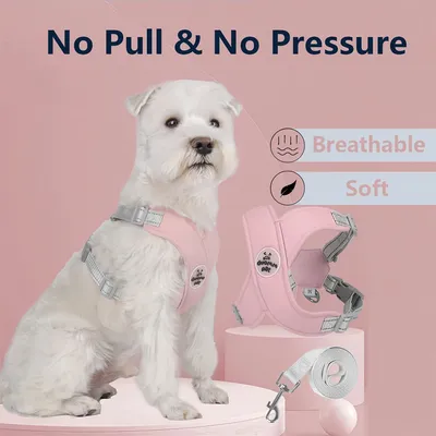 Pawzy Harnais pour chien，Convient aux chiens Taille S