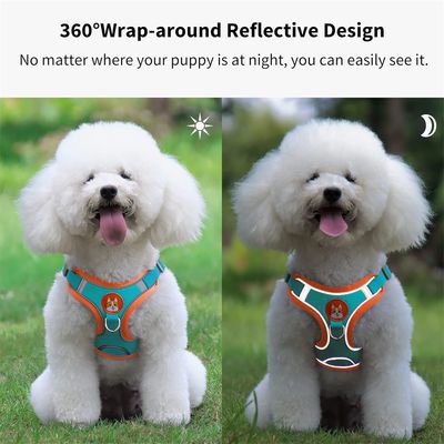Pawzy Harnachement en style gilet pour chien