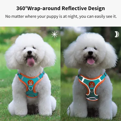 Pawzy Harnachement en style gilet pour chien