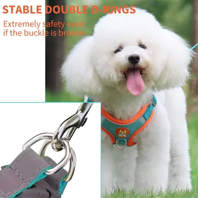 Pawzy Harnachement en style gilet pour chien