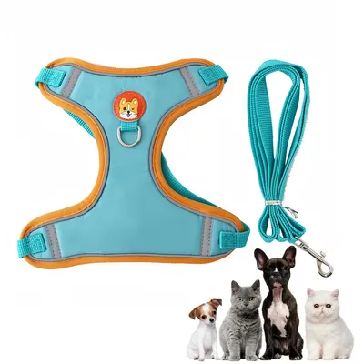 Pawzy Harnachement en style gilet pour chien