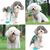 Pawzy Harnachement en style gilet pour chien
