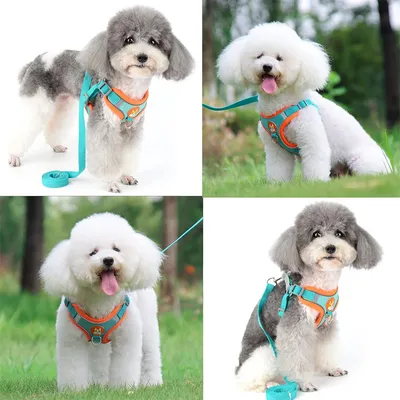 Pawzy Harnachement en style gilet pour chien