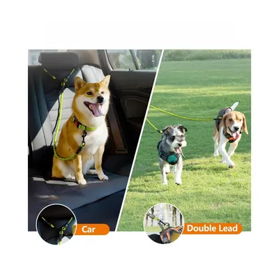 Zoomtopia Double laisse pour chien