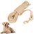 FurryFusion Laisse allongée pour chien