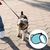 Pawzy Corde de conduite rétractable pour chien