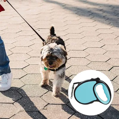 Pawzy Corde de conduite rétractable pour chien