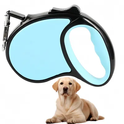 Pawzy Corde de conduite rétractable pour chien