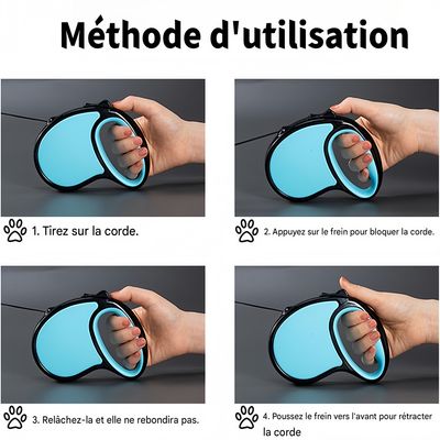 Pawzy Corde de conduite rétractable pour chien