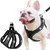 Zoomtopia Harnais ajustable pour chien