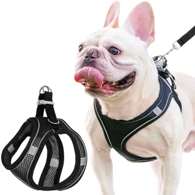 Zoomtopia Harnais ajustable pour chien