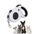 Pawzy Corde de traction pour chien de petite et moyenne taille