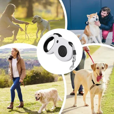 Pawzy Corde de traction pour chien de petite et moyenne taille