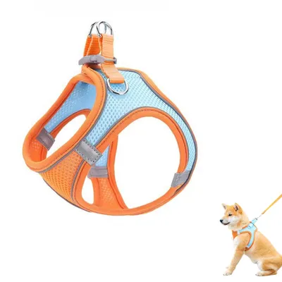 Zoomtopia Harnais pour chien