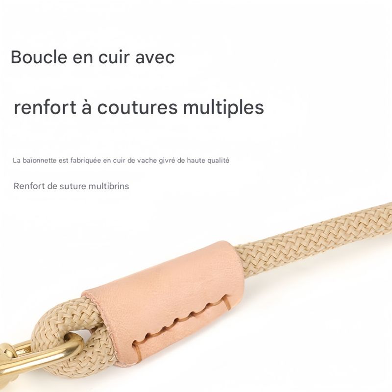 FurryFusion Laisse allongée pour chien