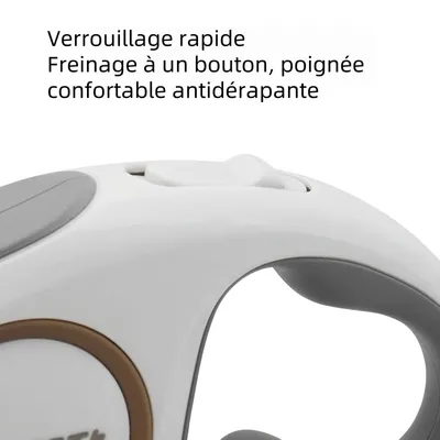 Zoomtopia  Laisse rétractable pour chien avec verrou de sécurité