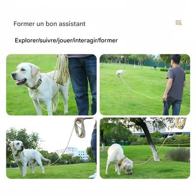 FurryFusion Laisse allongée pour chien