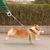Pawzy Corde de traction pour chien de petite et moyenne taille