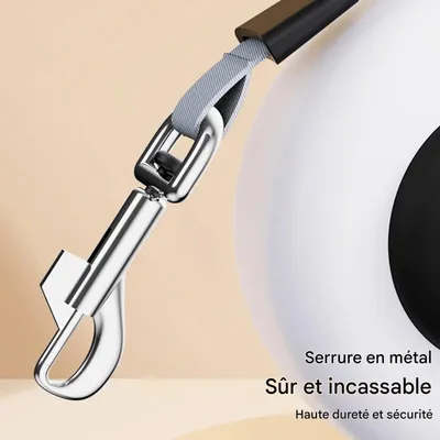 Pawzy Corde de traction pour chien de petite et moyenne taille