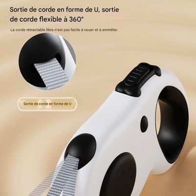 Pawzy Corde de traction pour chien de petite et moyenne taille