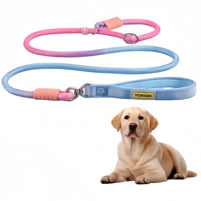 Pawzy Corde de traction anti - pull pour chien