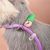 Pawzy Corde de traction anti - pull pour chien