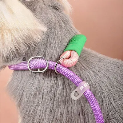 Pawzy Corde de traction anti - pull pour chien