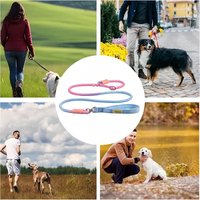 Pawzy Corde de traction anti - pull pour chien