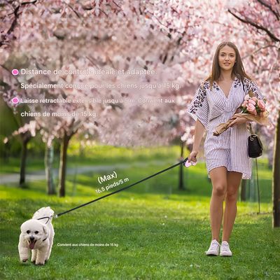 Pawzy Corde de conduite rétractable pour chien