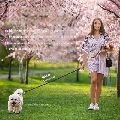 Pawzy Corde de conduite rétractable pour chien