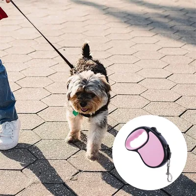 Pawzy Corde de conduite rétractable pour chien