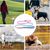 Pawzy Corde de traction anti - pull pour chien