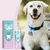Pawzy Spray pour soins bucco - dentaires des animaux de compagnie