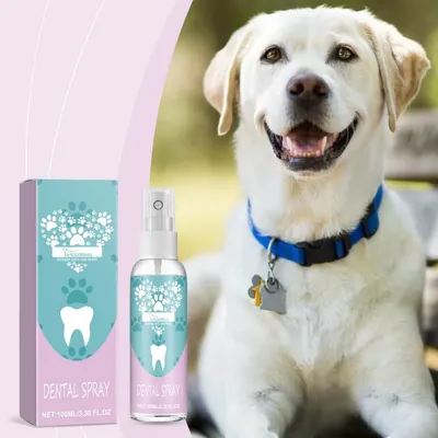 Pawzy Spray pour soins bucco - dentaires des animaux de compagnie