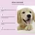 Pawzy Spray pour soins bucco - dentaires des animaux de compagnie