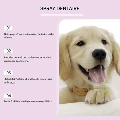 Pawzy Spray pour soins bucco - dentaires des animaux de compagnie
