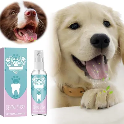 Pawzy Spray pour soins bucco - dentaires des animaux de compagnie