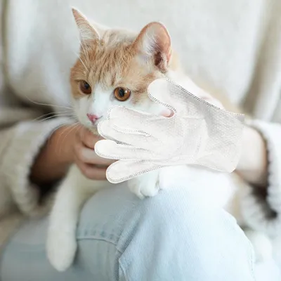 ZooVenture Lingettes nettoyantes pour chien et chat