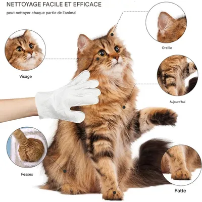 ZooVenture Lingettes nettoyantes pour chien et chat