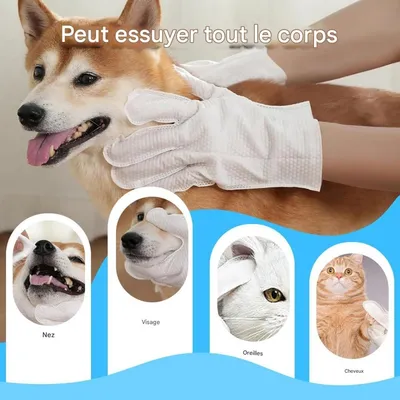 ZooVenture Gants nettoyants pour chien et chat