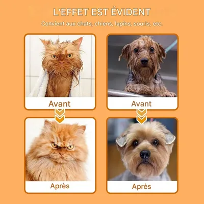 ZooVenture Lingettes nettoyantes pour chien et chat