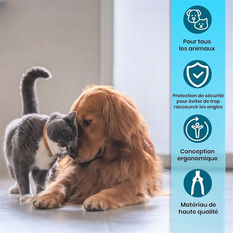 Coupe-ongles pratique pour chien et chat