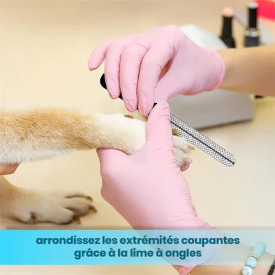 Coupe-ongles pratique pour chien et chat