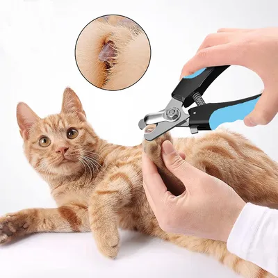 UAMLY Hundekrallenschere und Krallenknipser