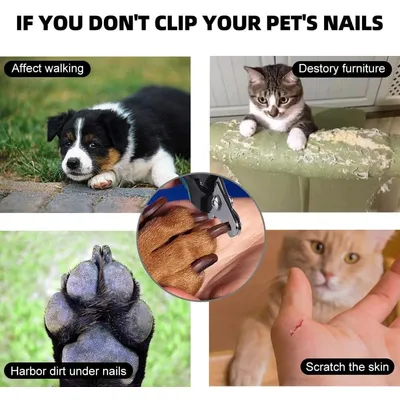 UAMLY Coupe-griffes et coupe-ongles pour chien