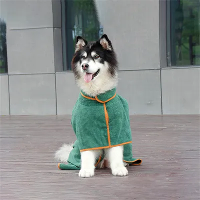 Pawzy Robe de bain pour animaux de compagnie