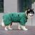 Pawzy Robe de bain pour animaux de compagnie