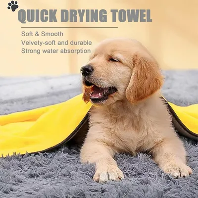Pawzy Serviette bain chien - microfibre super absorbante