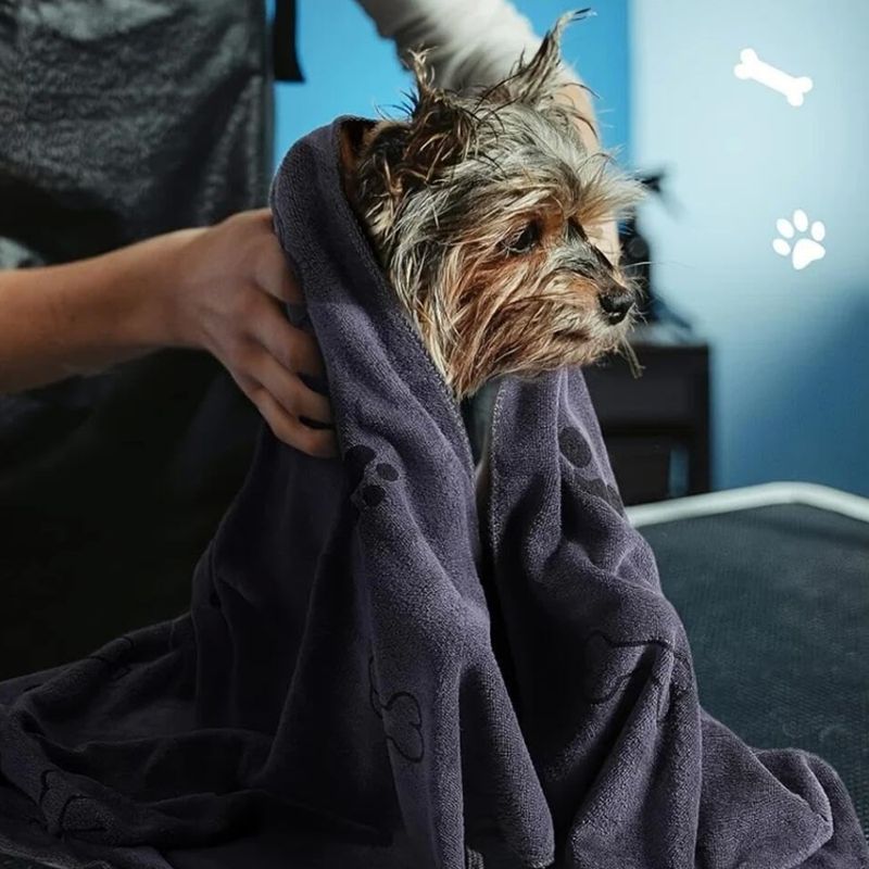 Zoomtopia Quatre serviettes de bain douces pour chien