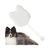 Zoomtopia Brosse de bain en silicone pour chien